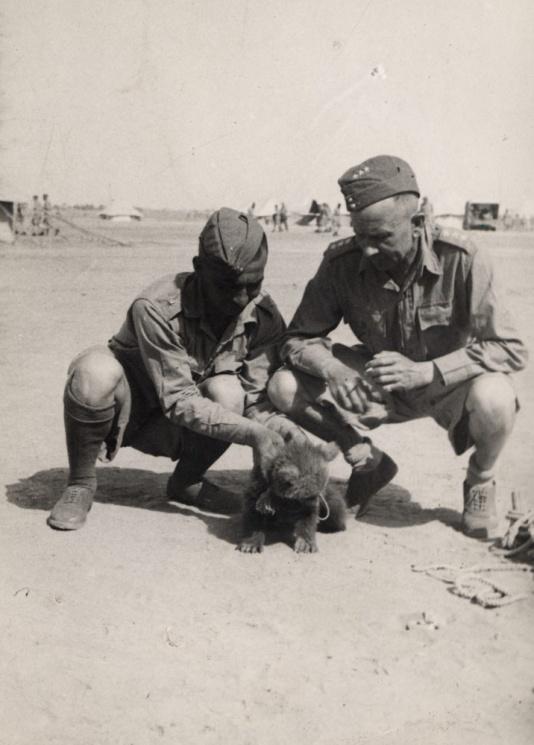 Żołnierze 2 Korpusu Polskiego w obozie Ahwaz (Persja, ob. Iran) bawiący się z niedźwiadkiem.
