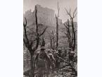 Żołnierze 2 Korpusu Polskiego w drodze do opactwa. W oddali ruiny klasztoru widziane poprzez okaleczone kikuty posiekanych pociskami drzew. Podpis na odwrocie: Patrol.