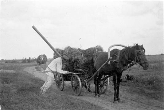 Chłop na polnej drodze w okolicach Pińska (woj. poleskie) podpiera wóz z sianem.