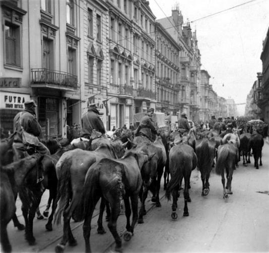 Polscy jeńcy wojenni i zdobyte przez Niemców konie na ulicach Łodzi.